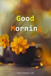 Free-Good-Morning-Images-Pics-in-HD.jpg