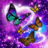 butterflies-stars.gif
