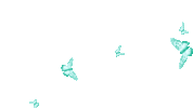 borboletas-butterflies (1).gif