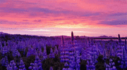 da56cb7907574bd644f1bda092956ea4.gif