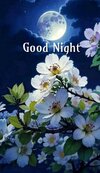 9592172dcfde0dedff741bfe2361b1be.jpg