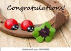 card-horseshoe-leafed-clover-ladybugscongratulationsenglish-260nw-186936839.jpg