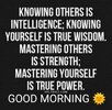 primary%3AAndroid%2Fmedia%2Fcom.whatsapp.w4b%2FWhatsApp%20Business%2FMedia%2F.Statuses%2F30287...jpg