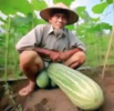 1000242217.png