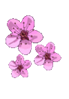 1742428837525.gif