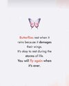 FB_IMG_1742616608294.jpg