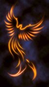 Phoenix-bird-14.jpg