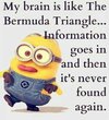 1985851261-Top-40-Funniest-Minions-Quotes-sayings.jpg