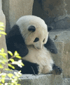 1000018326.gif