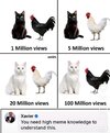 1000036771.jpg