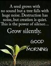 FB_IMG_1743051210262.jpg