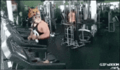 kaimana-kaimananfts.gif