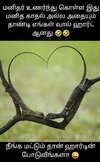 FB_IMG_1742992412194.jpg