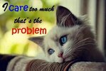FB_IMG_1743740011850.jpg