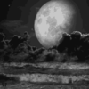 full-moon-rose-black.gif