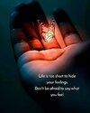 FB_IMG_1737287589398.jpg