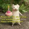 Happy Birthday to you!.jpeg Happy Birthday to you!.jpeg