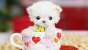 FB_IMG_1745311507991.jpg
