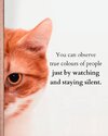 FB_IMG_1737287709450.jpg
