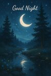 Nature good night.jpeg