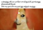 IMG_1226.jpeg