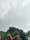 IMG_20250501_151801.jpg