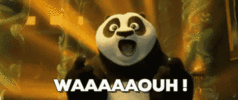 kung-fu-panda-wow.gif