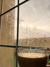 IMG_2980.jpeg