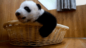 1000018328.gif