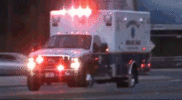 1000085274.gif