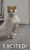 1746709039176.gif