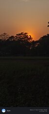 IMG_20250414_172624.jpg