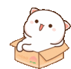 1000022177.gif