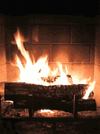 1746971323205.gif