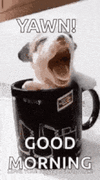 1747121242205.gif
