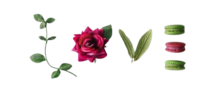 1000165554.png