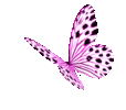 1747414714841.gif