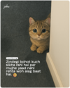 1747618519326-min.png