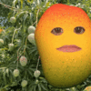 1000069625.gif