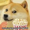 IMG_1338.jpeg