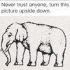 FB_IMG_1747293610325.jpg