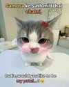 04abd117c701fa2001144a71c33d7a44.jpg