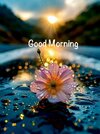 Good Morning Daisies Images.jpeg