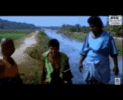 1000184241.gif