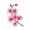 InShot_20250612_070547610.png