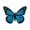 InShot_20250613_223823379.png