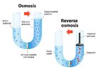 what-is-the-fundamentals-of-reverse-osmosis.jpg