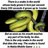 FB_IMG_1630738510675.jpg