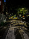 IMG_8725.jpeg