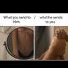 images (4).jpeg